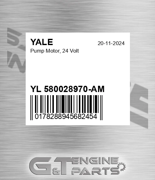 YL 580028970-AM Pump Motor, 24 Volt