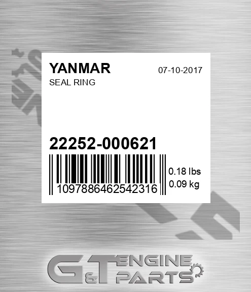22252-000621 Seal Ring