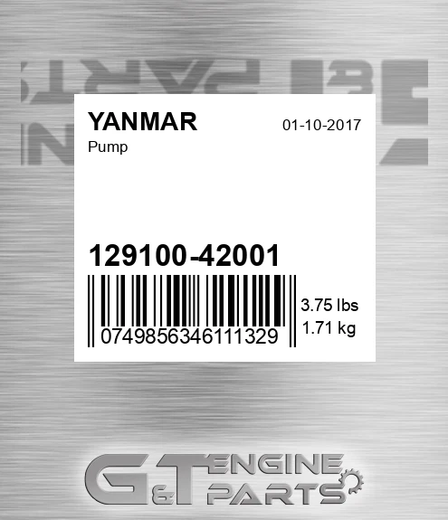 129100-42001 Pump