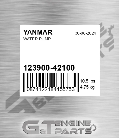 123900-42100 Water Pump