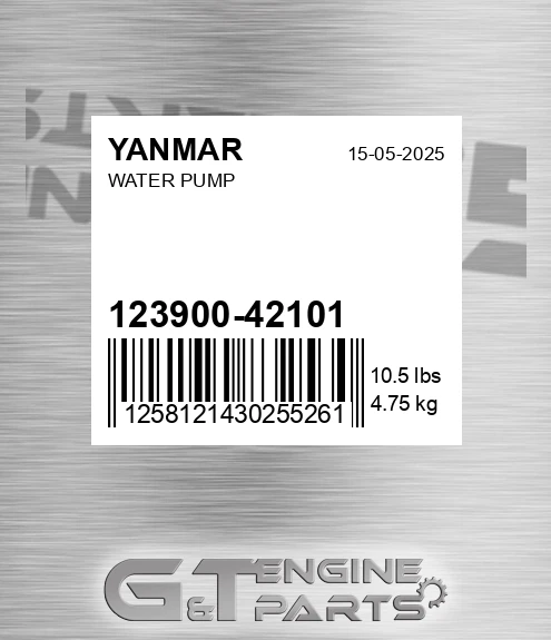 123900-42101 Water Pump