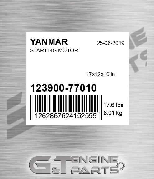 123900-77010 Starting Motor