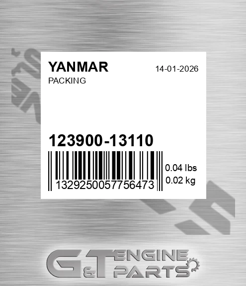 123900-13110 Packing