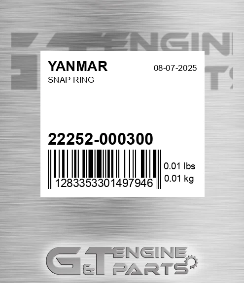 22252-000300 Snap Ring