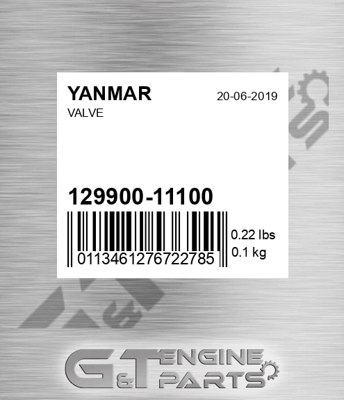 129900-11100 Valve