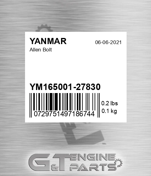 YM165001-27830 Allen Bolt