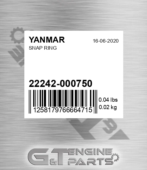 22242-000750 Snap Ring