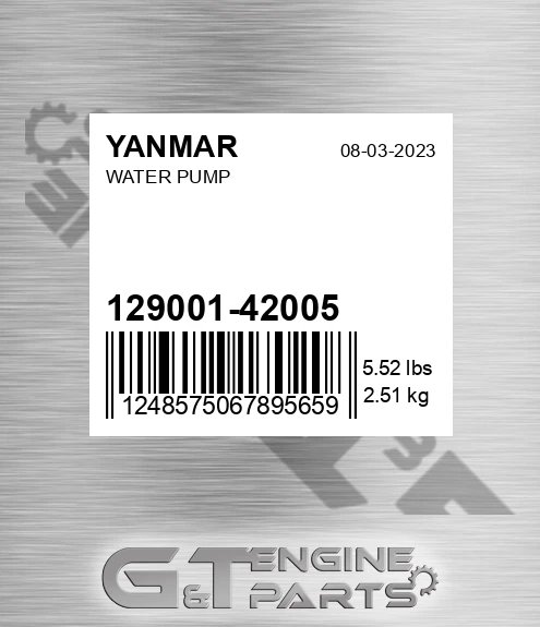 129001-42005 Water Pump